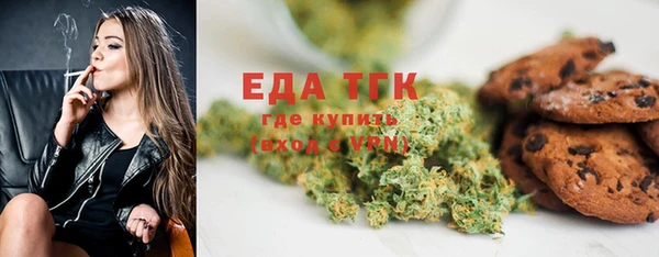 индика Чердынь
