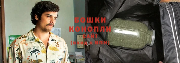 прущие грибы Чегем