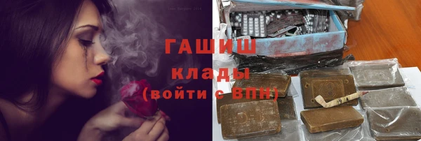 прущие грибы Дмитров