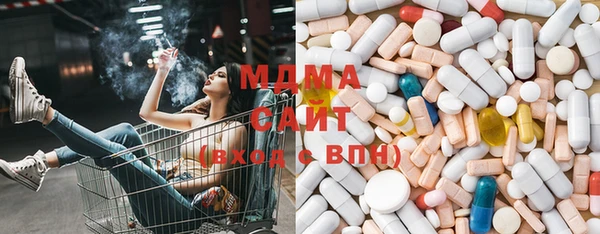 прущие грибы Чегем