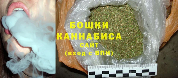прущие грибы Чегем
