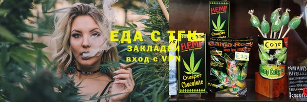 индика Чердынь