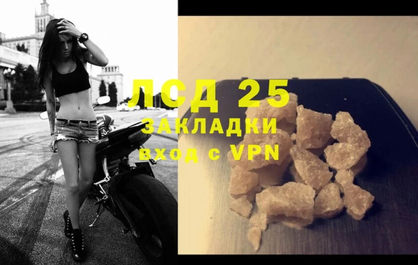 прущие грибы Чегем