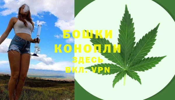индика Чердынь