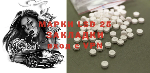 индика Чердынь
