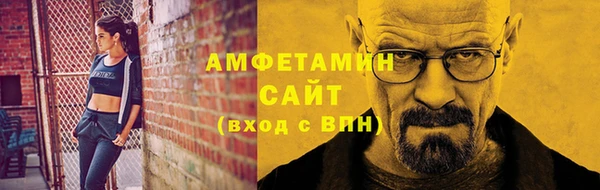прущие грибы Чегем